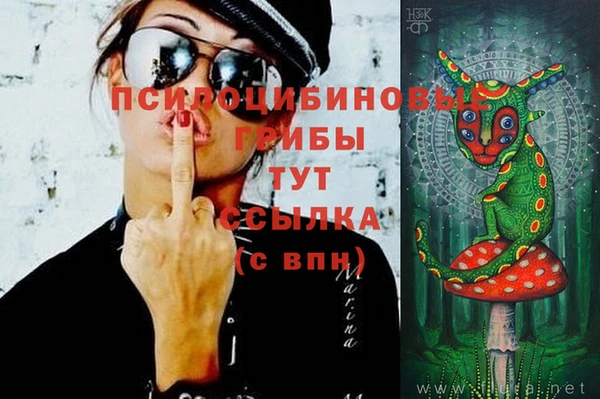 PSILOCYBIN Медвежьегорск