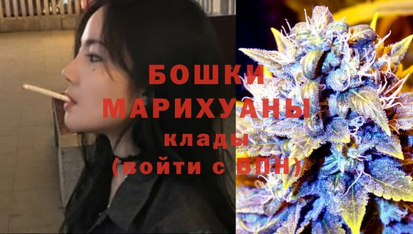 PSILOCYBIN Медвежьегорск