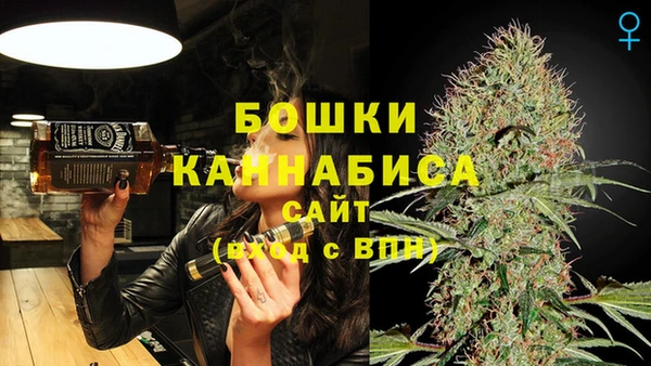 PSILOCYBIN Медвежьегорск